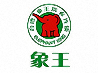 象王洗衣簡介